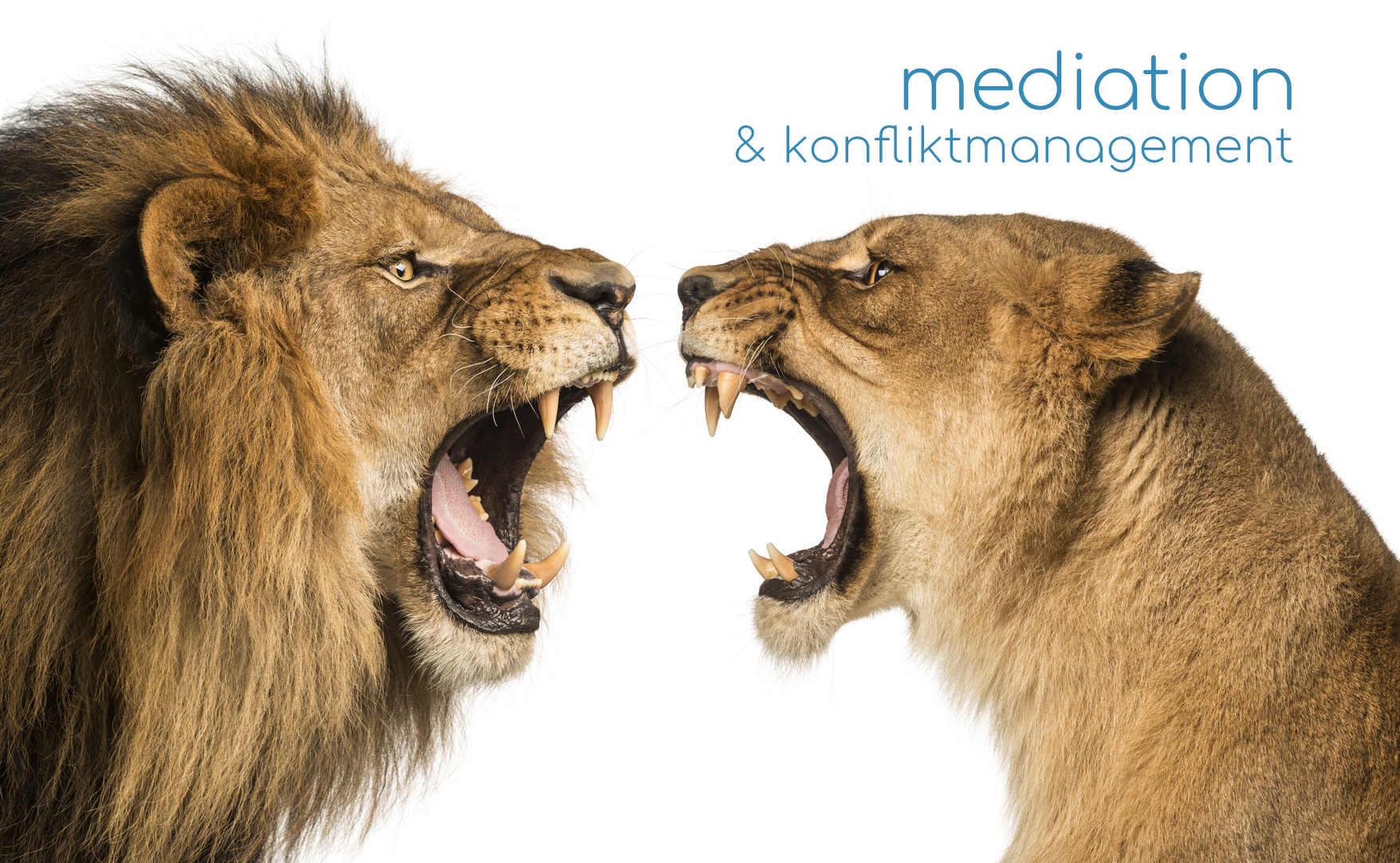 Mediation & Konfliktmanagement