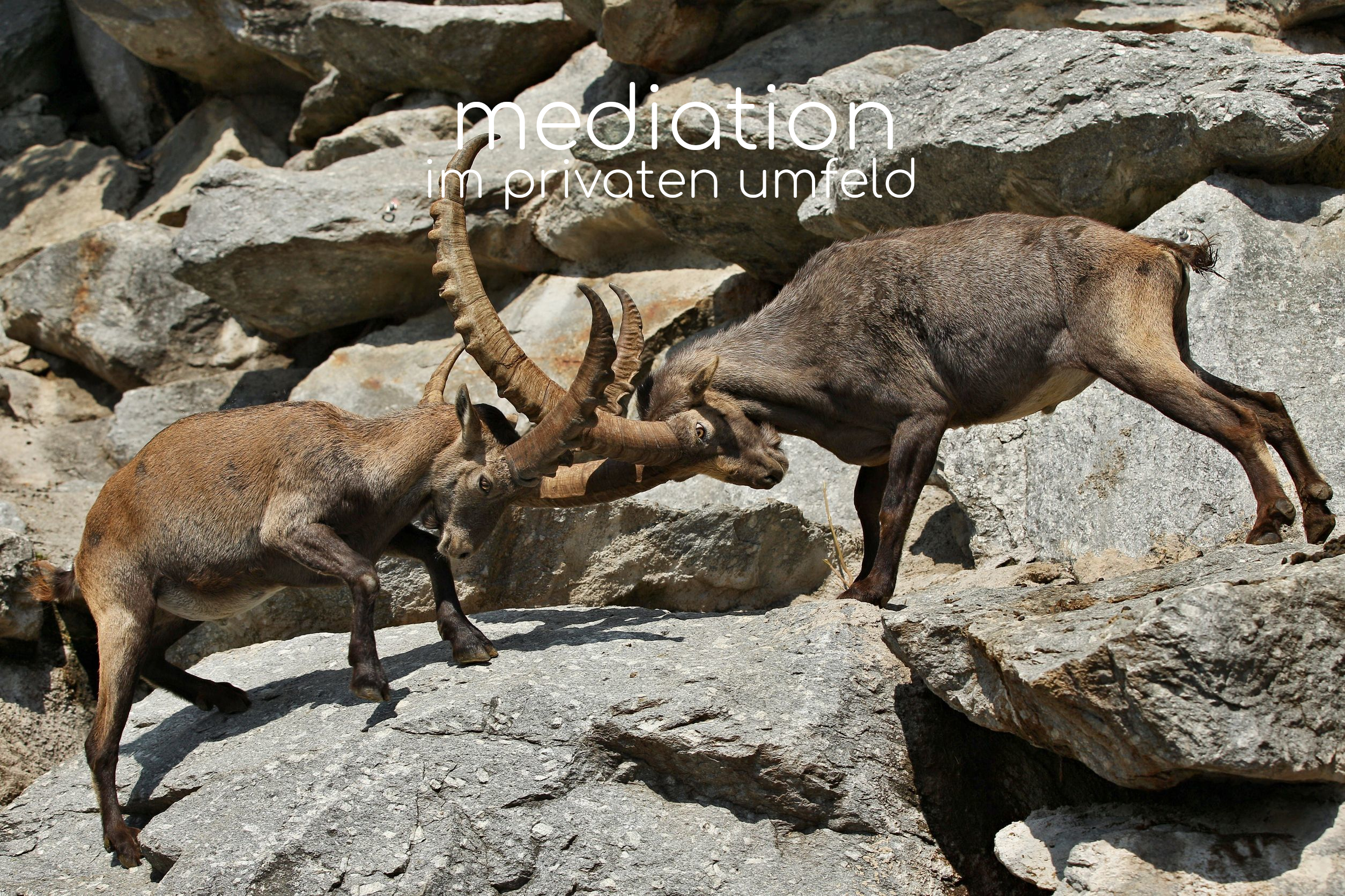 Mediation im privaten Umfeld